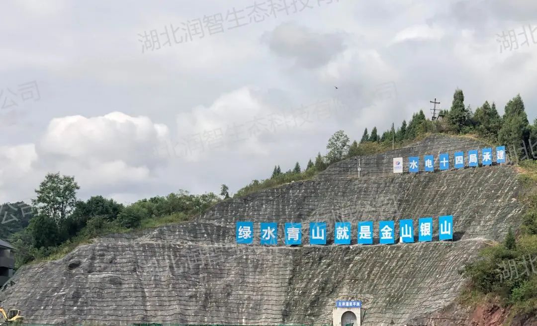 1750928219245010963.jpg a3f70ff1ea782344f33be2f1ea1e974b.jpg