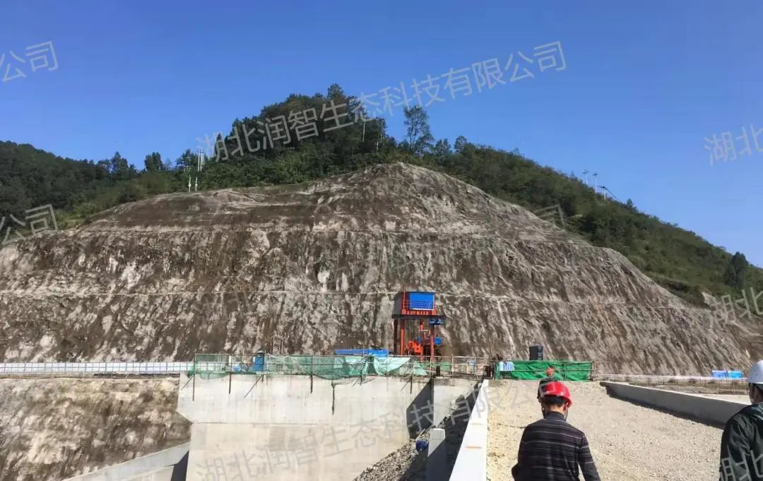 1750928694497025837.jpg d0dd5260e134ff9d045037d575c3558b.jpg