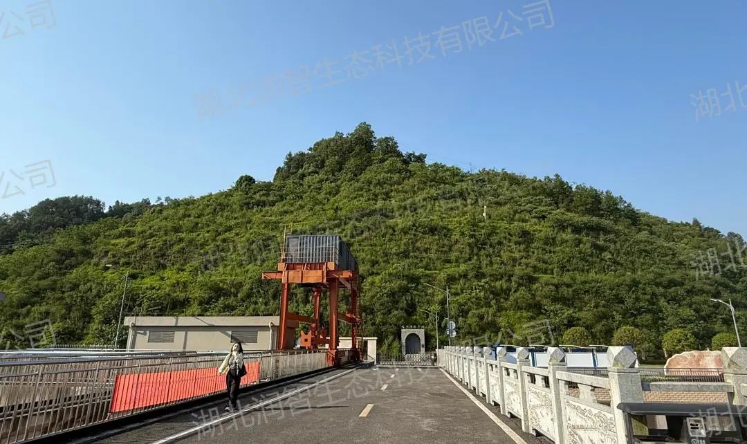 1750928728512051108.jpg 25610977a9f602b3ab472d7a970a1681.jpg